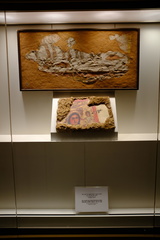 DSCF1881.JPG