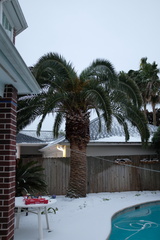 DSCF2505.JPG